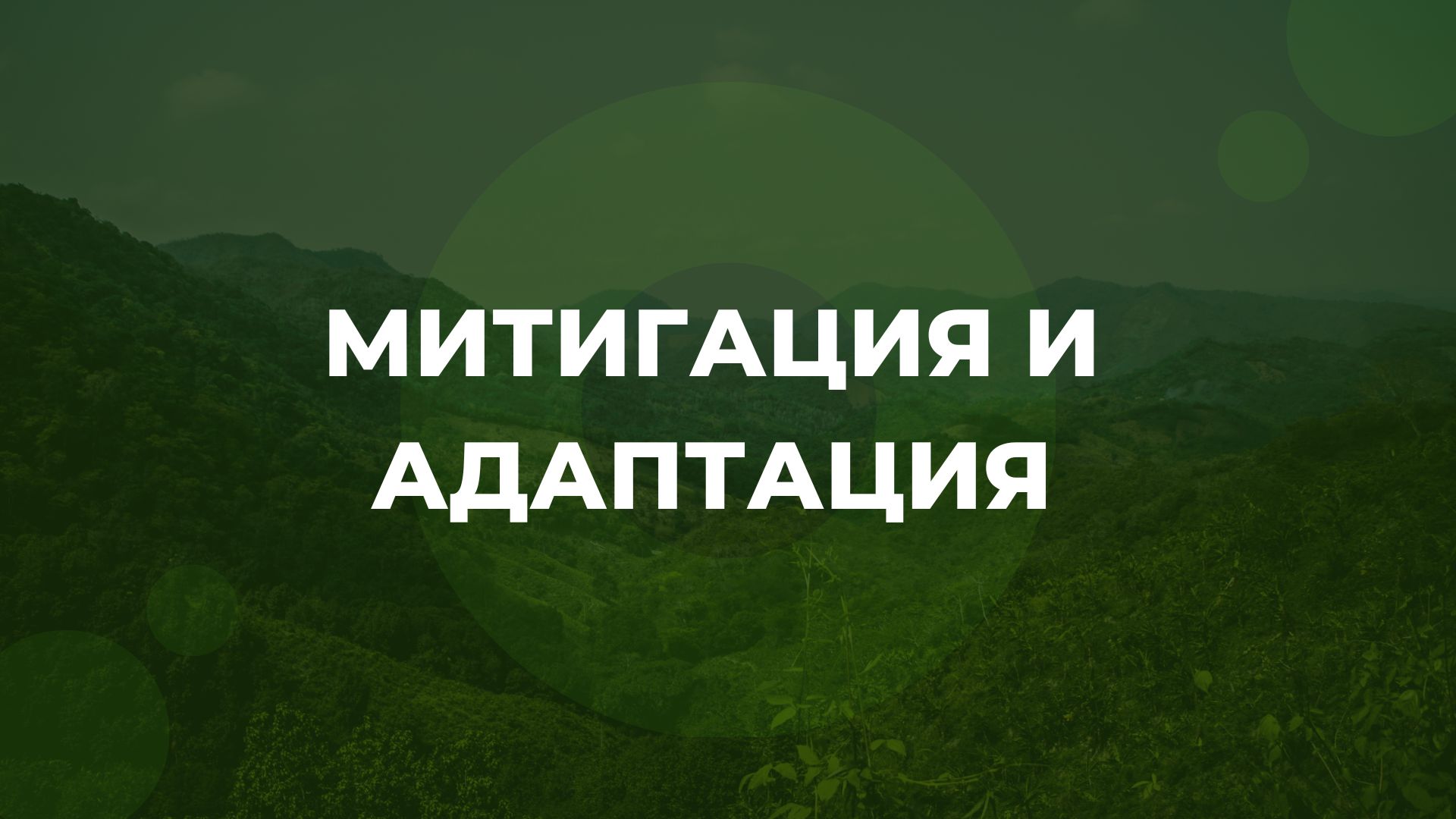 Митигация и адаптация | Movegreen.kg